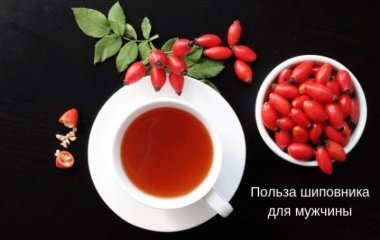 Чем полезен шиповник для мужчины? Лечебные свойства, польза и вред для потенции мужчины