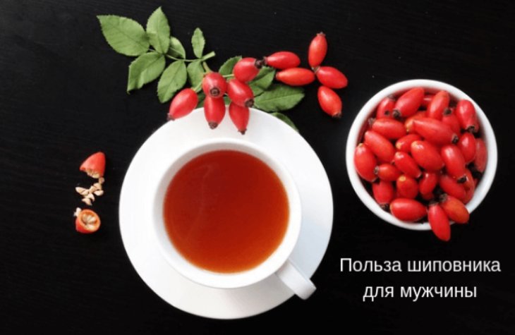 Чим корисна шипшина для чоловіка? Лікувальні властивості, користь та шкода для потенції чоловіка