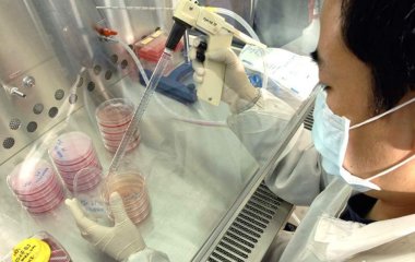 Японські вчені встановили живучість «Омікрону» на руках