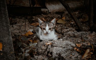 День ангела 7 жовтня: кого та як вітати з іменинами