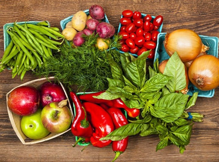 Что такое адекватное видовое питание и теория Шаталовой о нем?