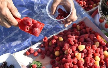 Терапевт спростувала міф про можливість запастися вітамінами влітку на рік наперед