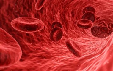 Медики нашли способ очистить кровеносные сосуды и предотвратить инсульт