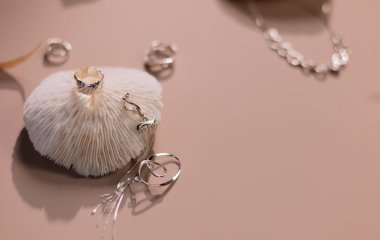 Якщо прикраси втратили свій блиск: як найкраще почистити срібло в домашніх умовах
