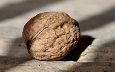 Вчені назвали головний продукт для здорового старіння