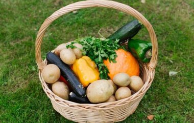 Немецкий врач назвал продукты, которыми можно заменить лекарства