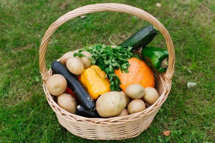 Немецкий врач назвал продукты, которыми можно заменить лекарства