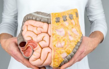 Лікарі розповіли про корисні продукти для профілактики хвороб мозку