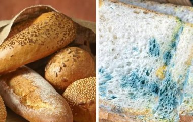 Куда положить хлеб, чтобы он не черствел максимально долго