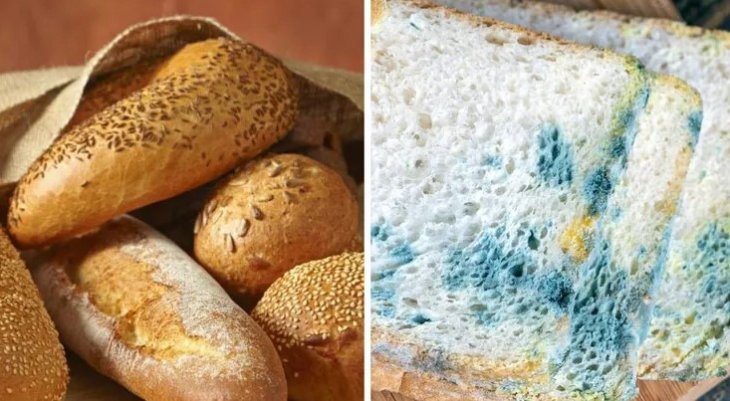 Куда положить хлеб, чтобы он не черствел максимально долго