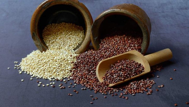 Врач назвал продукты для профилактики тромбоза