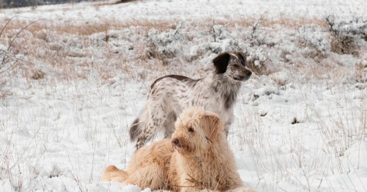 День ангела 7 грудня: кого та як вітати з іменинами