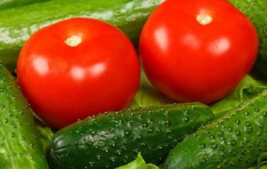 Догляд за огірками та помідорами в липні: що потрібно зробити зараз