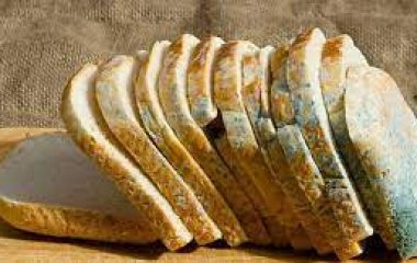 Лікар розповіла, що буде, якщо випадково з'їсти продукт із пліснявою