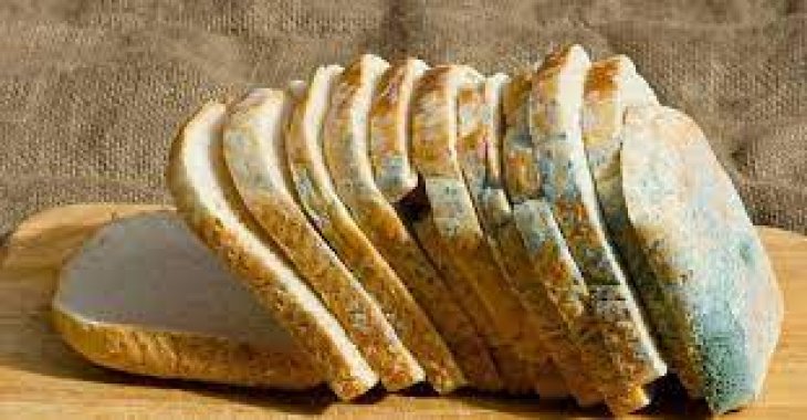 Лікар розповіла, що буде, якщо випадково з'їсти продукт із пліснявою