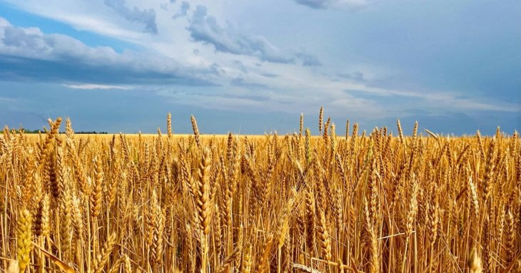 Привітання з Днем Незалежності України 2025 року: вірші, проза, листівки