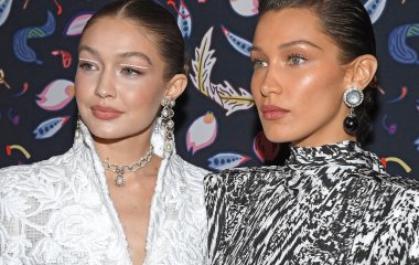 Белла Хадид опубликовала шутливое фото с беременной сестрой Джиджи