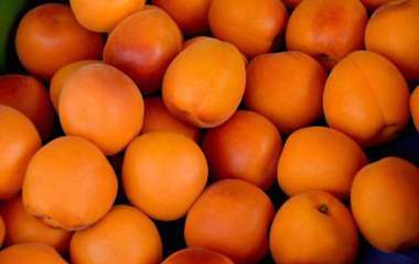 Диетолог рассказала, кому не стоит есть много абрикосов