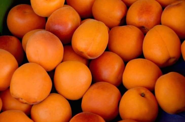 Диетолог рассказала, кому не стоит есть много абрикосов