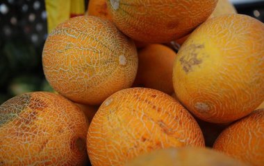 Дієтолог розповіла про небезпечні поєднання дині з іншими продуктами