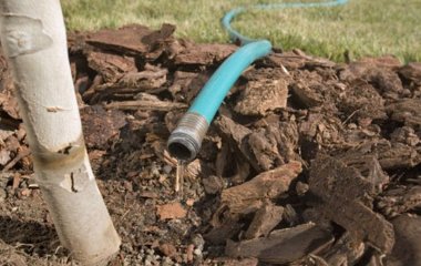 Чи потрібно поливати сад восени: нарешті надано остаточну відповідь