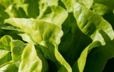 Експерт назвала продукт, який знімає втому