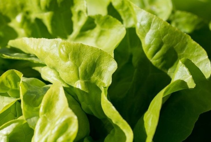 Эксперт назвала продукт, снимающий усталость