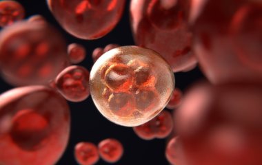 Перераховано 7 смертельних вірусів, які викликають рак