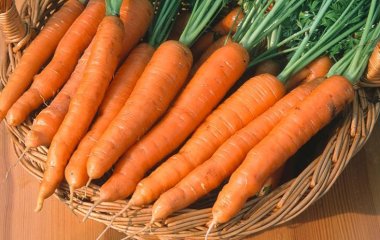 Дієтолог назвав продукти для підтримки імунітету восени