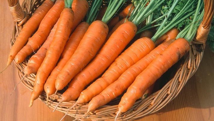 Дієтолог назвав продукти для підтримки імунітету восени