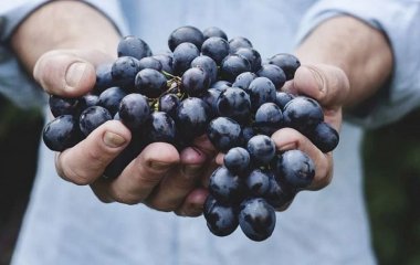 Лікарі розповіли, як знизити рівень глюкози у крові: п'ять важливих продуктів