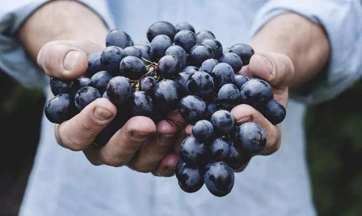 Лікарі розповіли, як знизити рівень глюкози у крові: п'ять важливих продуктів