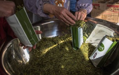 Зелений чай знизив ризик ранньої смерті перенесли інсульт та інфаркт