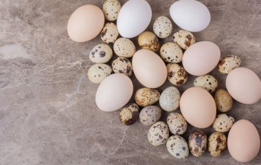 Які яйця корисніші – перепелині чи курячі: лікарі дали однозначну відповідь