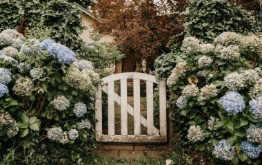 Квітень вирішує все: які рослини варто обрізати для рясного цвітіння