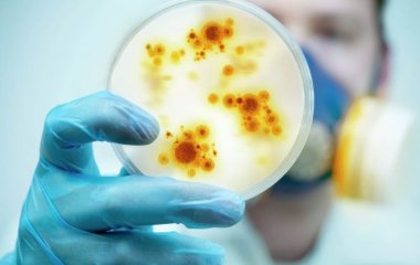 Вчені вигадали, як перемогти бактерії без антибіотиків