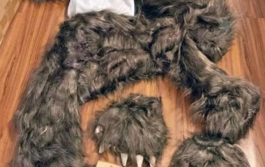 Чоловік у костюмі ведмедя інсценував напади на авто заради страховки: чим це закінчилося – фото