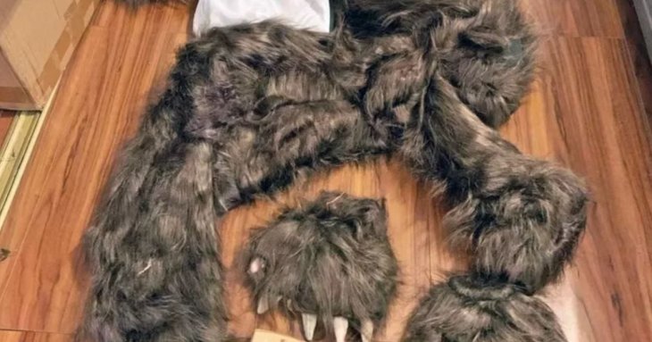 Чоловік у костюмі ведмедя інсценував напади на авто заради страховки: чим це закінчилося – фото