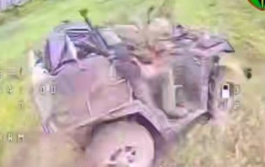 Чотирилапий розвідник: кіт допоміг українським військовим виявити ворожий квадроцикл (відео)