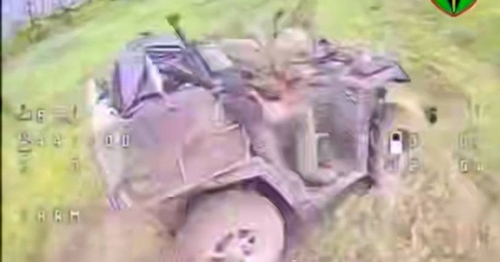 Чотирилапий розвідник: кіт допоміг українським військовим виявити ворожий квадроцикл (відео)