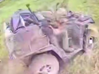 Чотирилапий розвідник: кіт допоміг українським військовим виявити ворожий квадроцикл (відео)