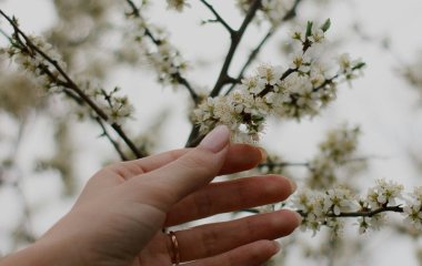День ангела 14 квітня: кого та як вітати з іменинами