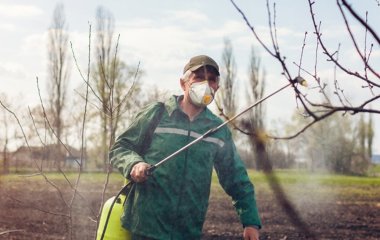 Остання передзимова обробка рослин: що необмінно потрібно зробити, коли опаде листя