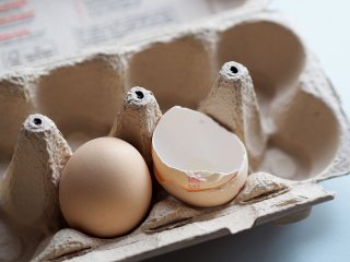 Як корисно використати лотки від яєць