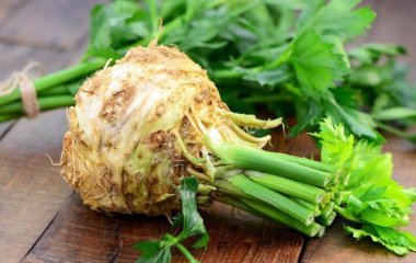 Врач-диетолог рассказала, можно ли 