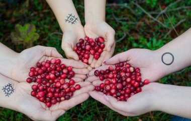 Медики назвали продукт, который укрепляет сердечно-сосудистую систему