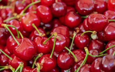 Медики назвали болезни от которых вылечит вишня