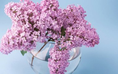 Скільки вихідних у травні 2026 року: повний календар святкових і додаткових днів відпочинку в Україні