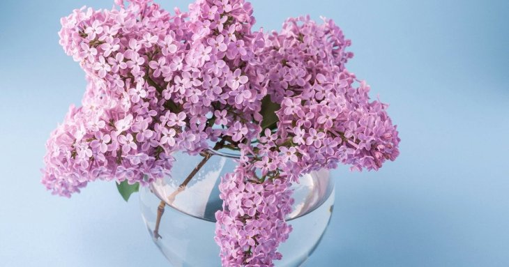 Скільки вихідних у травні 2026 року: повний календар святкових і додаткових днів відпочинку в Україні