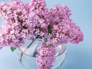 Скільки вихідних у травні 2026 року: повний календар святкових і додаткових днів відпочинку в Україні